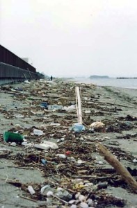 房総半島富津海岸のゴミ
